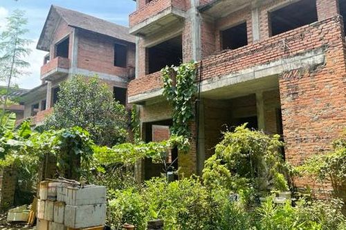 Cảnh hoang lạnh của biệt thự chục tỷ bỏ hoang để... trồng rau, nuôi chó