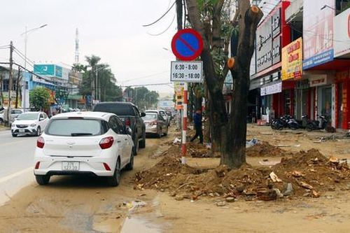Khởi tố vụ án xảy ra tại Công ty Cây xanh Công Minh