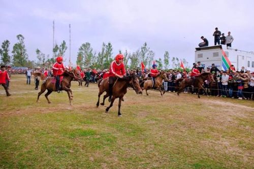 Tiếng vó ngựa trên Gò Thì Thùng
