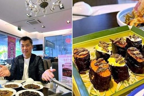 Singapore phê duyệt 16 loài côn trùng được làm thức ăn, có cả dế và sâu gạo