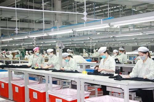 Tăng trưởng kinh tế Việt Nam năm 2024 cao nhất có thể đạt 6,95%