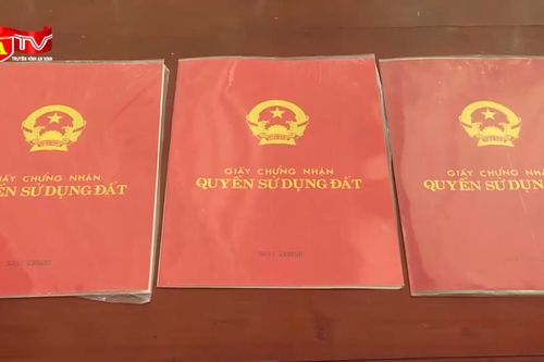 08 trường hợp không được 'sang tên' sổ đỏ từ ngày 1/8