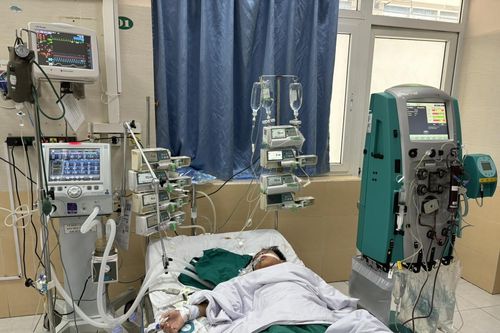 Lên nhà người thân ở Hà Nội chơi, bé trai 10 tuổi bất ngờ sốc nhiễm khuẩn nguy kịch