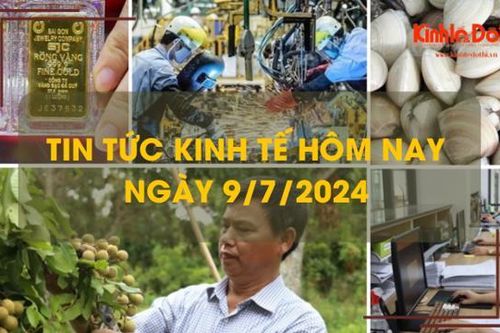 Tin tức kinh tế ngày 9/7/2024: giá nhãn Sơn La cao kỷ lục