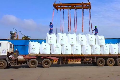 6 tháng đầu năm 2024, PVFCCo đạt tăng trưởng ấn tượng