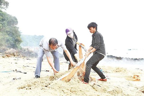 Du lịch xanh ở Cô Tô