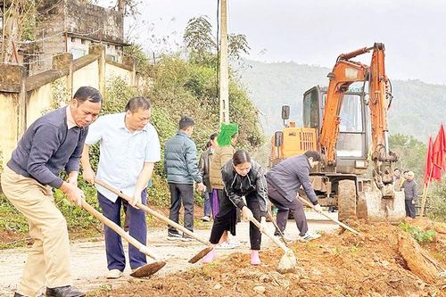 Triển khai quyết liệt, đồng bộ các giải pháp kiểm soát phòng chống bệnh trên đàn vật nuôi