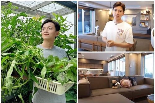 Cận cảnh penthouse 3 tầng có sân vườn xanh mướt của Ngô Kiến Huy