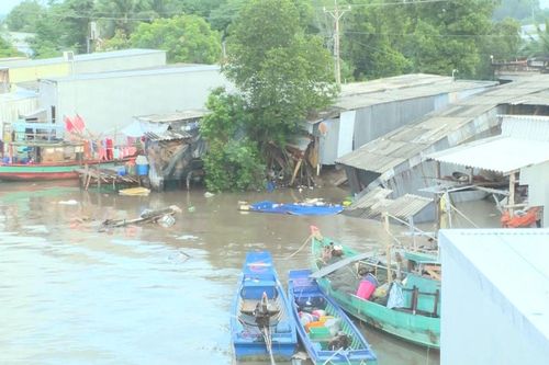 Sạt lở trong đêm, 9 căn nhà ở Cà Mau bị thiệt hại