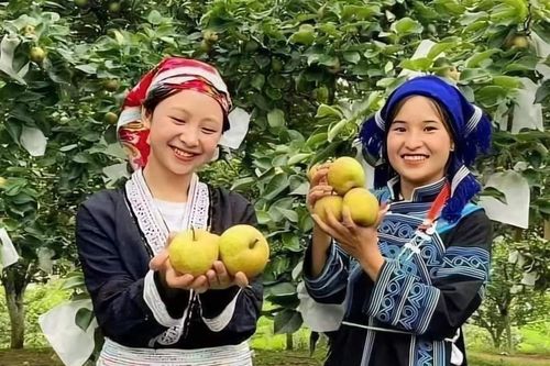 'Đánh thức' du lịch nông nghiệp ở vùng biên