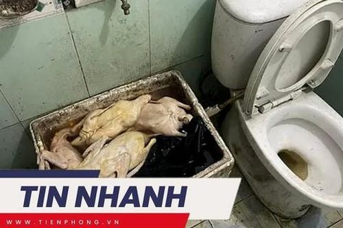 TIN NHANH: Làm rõ việc quán ăn dùng vịt có giòi, để cạnh bồn cầu