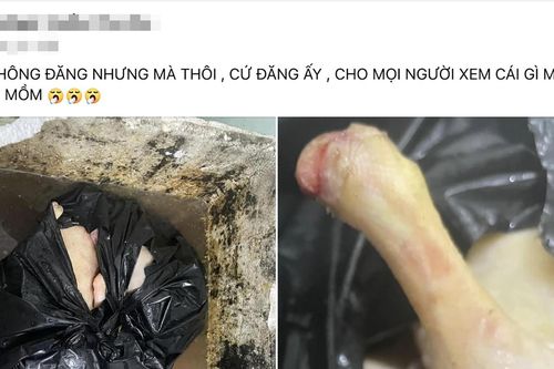 Làm rõ việc quán ăn dùng vịt có giòi, để cạnh bồn cầu ở Quảng Ninh