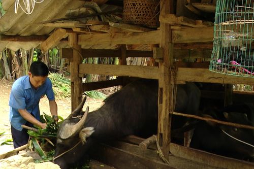Chính quyền vào cuộc, xóm nghèo biên giới Cao Bằng đổi thay