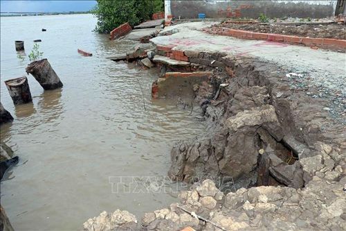 Liên tiếp sạt lở đất ven sông ở Cà Mau