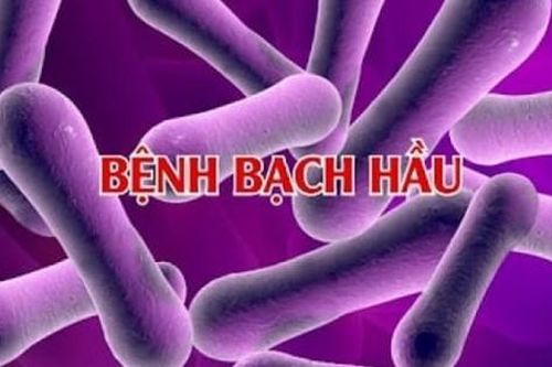 Bệnh bạch hầu lây truyền như thế nào và cách phòng tránh