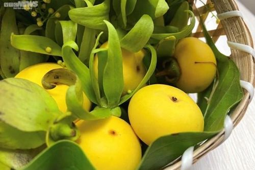 Giá nông sản 9/7: Cà phê tăng mạnh, nhãn Sơn La cao kỷ lục, chay tươi được giá