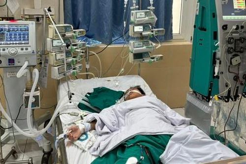 Cứu sống bệnh nhi sốc nhiễm khuẩn nặng