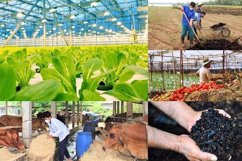 Hợp tác quốc tế và phối hợp đa ngành thúc đẩy kinh tế tuần hoàn trong nông nghiệp
