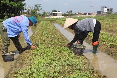 Hải Dương đề xuất trợ cấp từ 1,6 triệu đồng hằng tháng cho hộ nghèo không có khả năng lao động