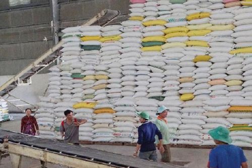 Xuất khẩu gạo của Việt Nam có nguy cơ gặp bất lợi tại Indonesia