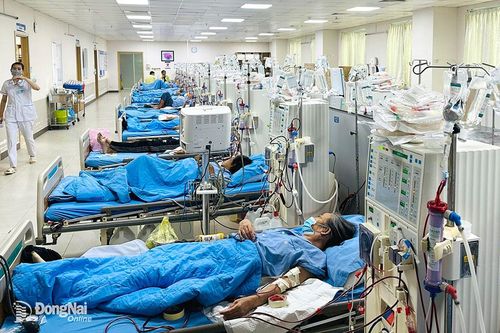 Quá tải bệnh nhân chạy thận nhân tạo