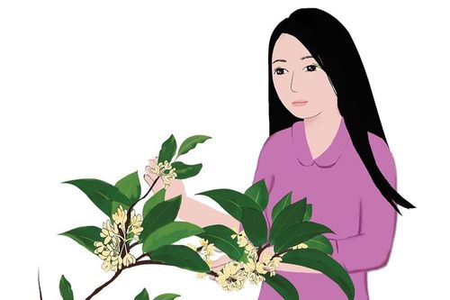 Dịu dàng hương mộc