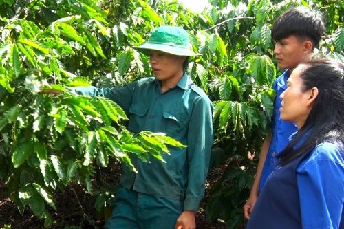 Phát huy hiệu quả nguồn vốn vay ưu đãi qua tổ chức Đoàn