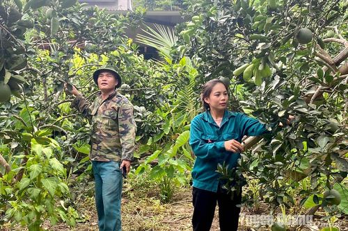 Xuân Vân nỗ lực phát triển Đảng
