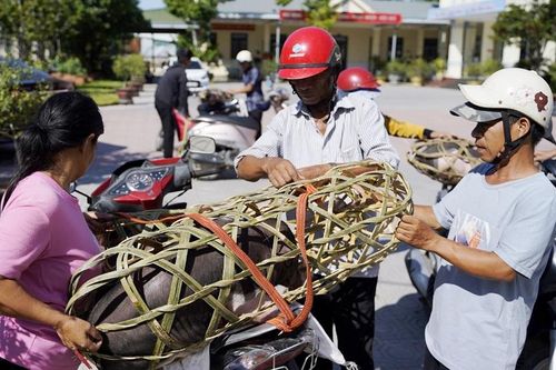 Phát triển mô hình giảm nghèo bền vững