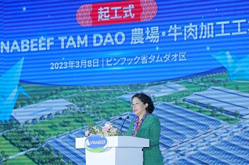 'Siêu' dự án 500 triệu USD của Vinamilk (VNM) sẽ ra mắt sản phẩm trong quý 4/2024
