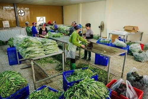 Những chính sách ưu đãi, hỗ trợ về thuế đối với hợp tác xã
