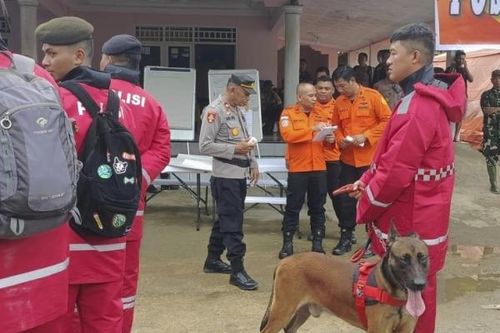 17 người thiệt mạng do sạt lở đất tại mỏ vàng Indonesia