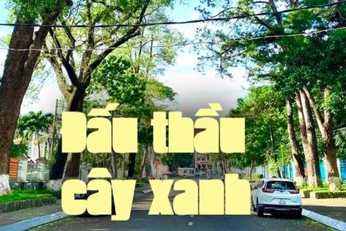 Công ty Cây xanh Công Minh bị khởi tố, cơ quan chức năng nêu rõ các vi phạm