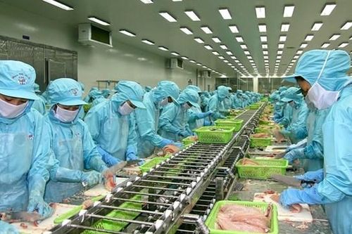 Đầu tư và Phát triển đa quốc gia (IDI) sắp phát hành hơn 45,5 triệu cổ phiếu để trả cổ tức