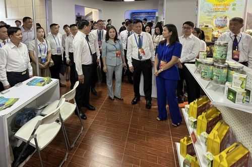 Hỗ trợ xây dựng 12 gian hàng giới thiệu sản phẩm OCOP trên Cổng thông tin giao dịch thương mại điện tử tỉnh