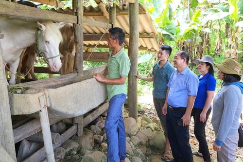 Khảo sát nhu cầu và sử dụng vốn vay hợp tác xã tại huyện Bảo Lạc