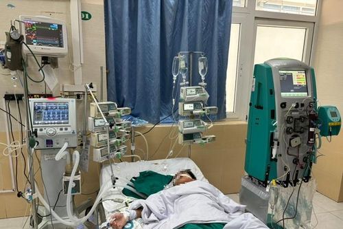 Sau nôn, sốt, đi ngoài không dứt, bé trai 10 tuổi sốc nhiễm khuẩn nguy hiểm tính mạng