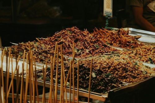 Người Singapore được phép ăn côn trùng