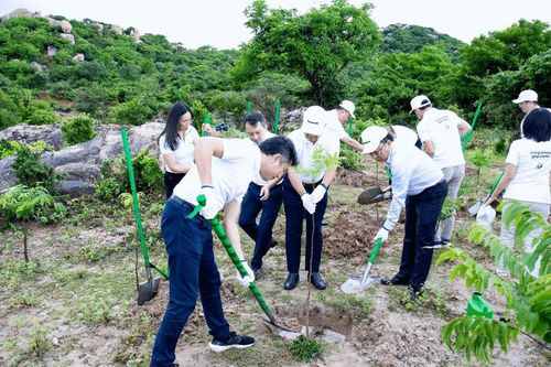 'Sống khỏe góp xanh 2024' tái khởi động, hướng tới kỷ lục 1 triệu cây