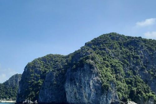 Hải Phòng: 100% hộ dân nuôi hàu tự phát đã tự nguyện tháo dỡ