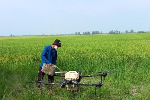 Cần Thơ: đầu tư gần 16 tỉ đồng cho cơ giới hóa nông nghiệp