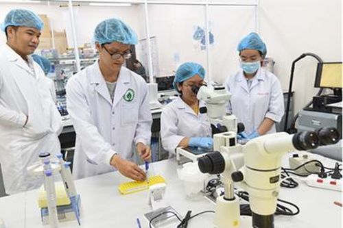 Chấp nhận rủi ro để sáng tạo, phát triển