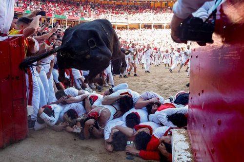 Không khí náo nhiệt, gay cấn đến thót tim tại lễ hội bò tót San Fermin ở Tây Ban Nha