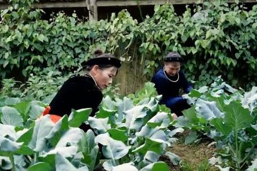 Đảm bảo quyền lợi BHYT cho người dân tại các địa bàn ATK