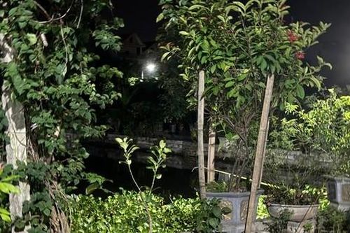 Ba cháu nhỏ trong một gia đình chết đuối dưới ao nhà hàng xóm