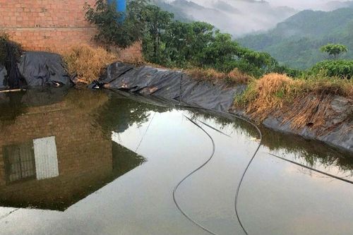 Hai chị em ruột tử vong trong hồ chứa nước tưới cà phê ở Lâm Đồng
