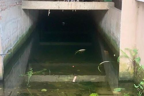 Biệt thự bất ngờ thành 'bể cá'