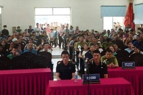 Hai anh em ruột vướng lao lý vì vào rừng lấy gỗ nghiến làm thớt