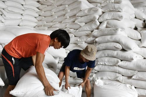 Gạo Việt xuất khẩu sang Indonesia: Cảnh báo tình huống xấu có thể xảy ra