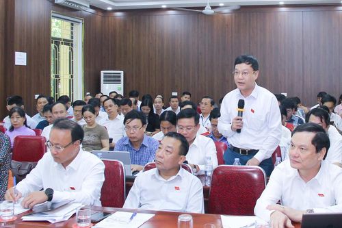 Đại biểu HĐND tỉnh nêu những vấn đề đã tồn tại nhiều năm